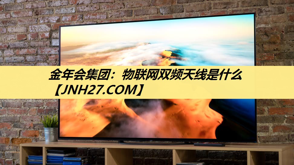 金年会集团：物联网双频天线是什么