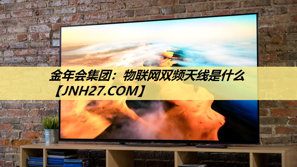 物联网双频天线是什么 物联网双频天线是什么